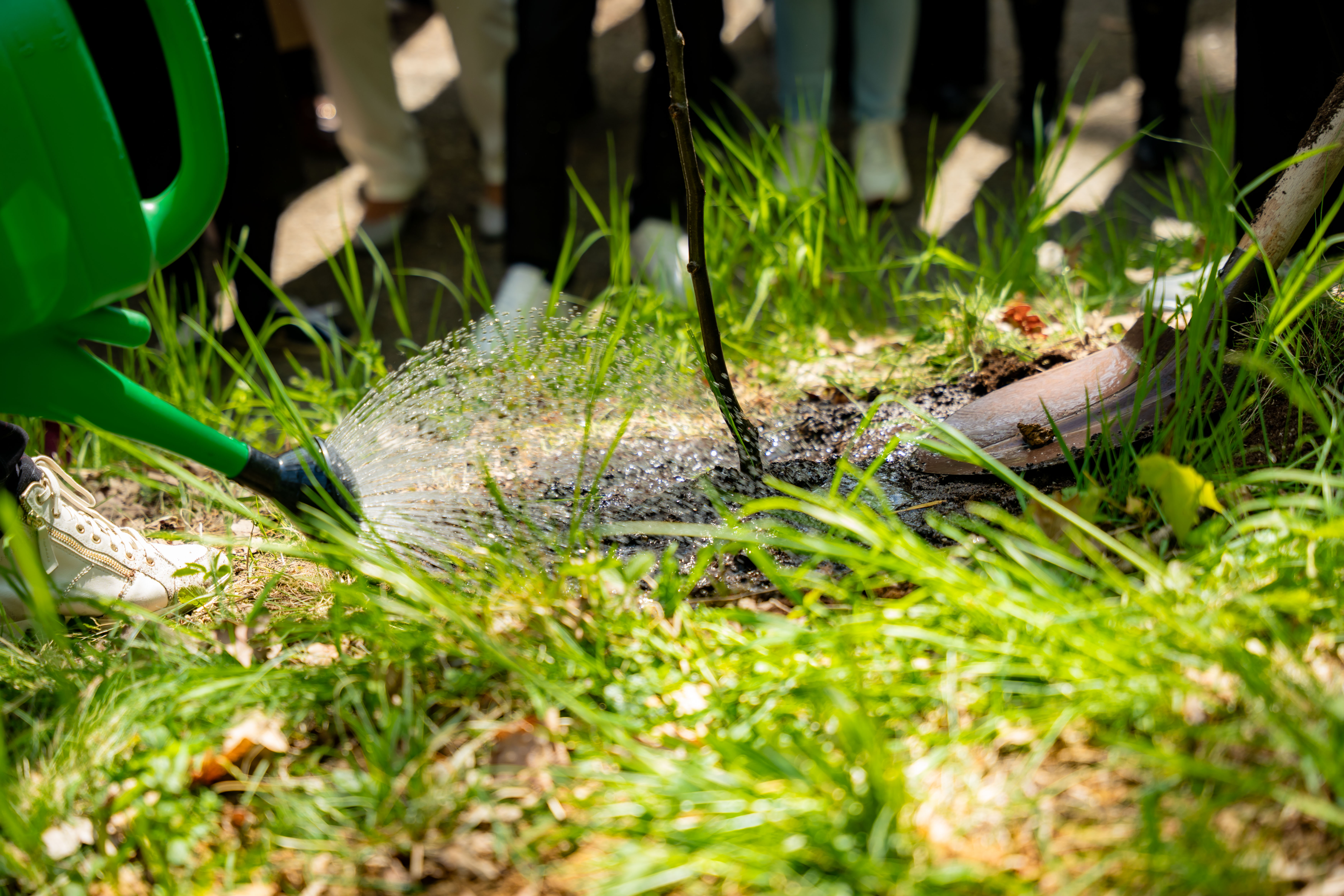 Slavnostne zasadenie stromu do Aleje vyznamnych osobnosti Botanickej zahrady UPJS-1-28